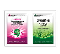 1+1�B���԰׷۲�����