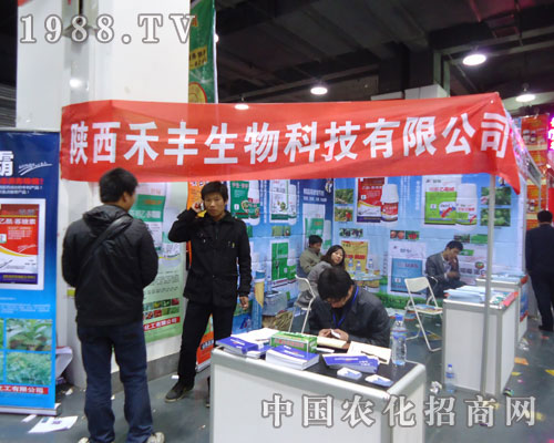 ���S����Ƽ��ںӱ�ʡֲ��������������