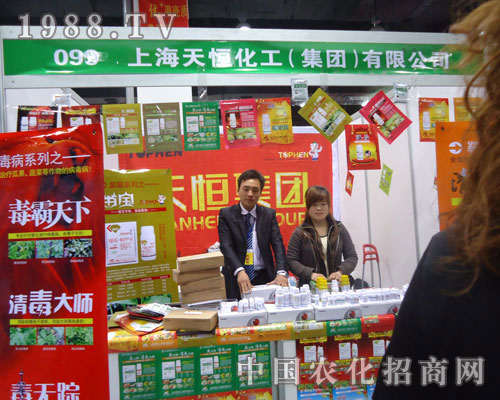 �Ϻ���㻯����������