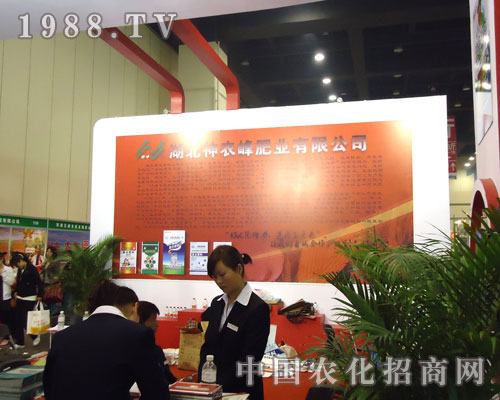 �ӱ����r��ʘI(y��)�����ݷ����p����¡�����̣�