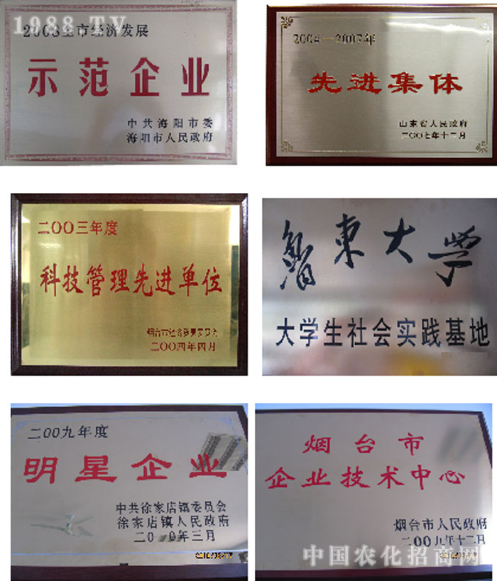 ���_�嵤�ˎ�I(y��)���޹�˾