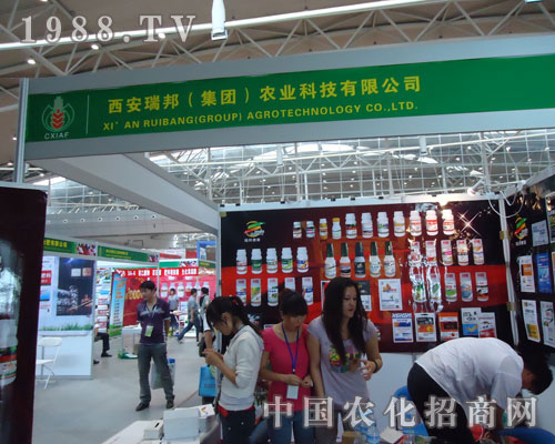 ��������r(n��ng)�I(y��)�ڵ�ʮһ���½��r(n��ng)������������