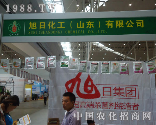 ����ˎ��������!