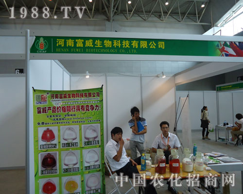 ���ϸ�������Ƽ������\�Q��Ч��