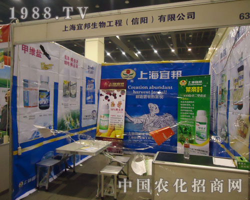 �~�۷�������R��ƴ