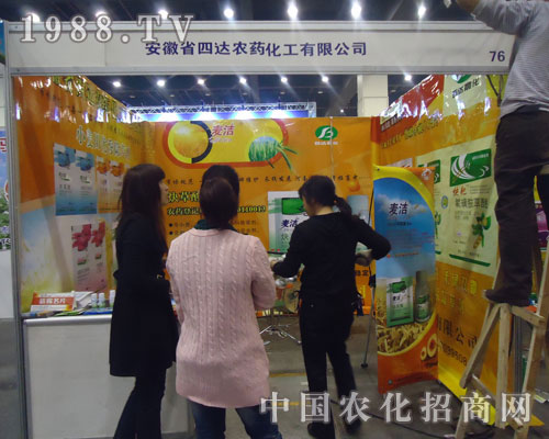 ���_(d��)�������ɿ�