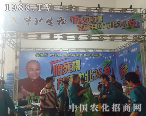 �������������б�36E