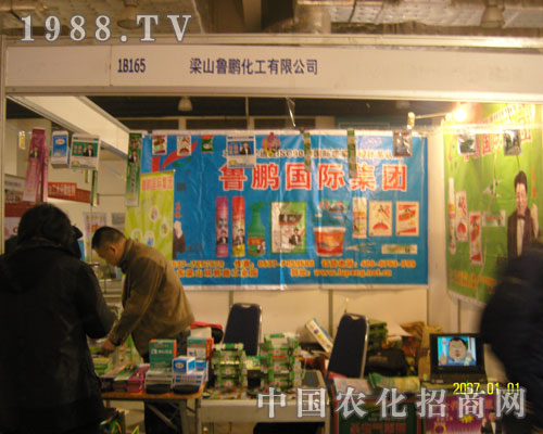 �挦(du��)2011ɽ�|ֲ����(hu��)��ɽ���i�����M(m��n)������