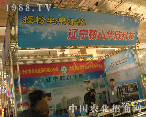 �ڷ������������|����ɽ�A���Ƽ�