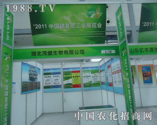 ����ïʢ������2011�Ї��׏�(f��)�ʕ�(hu��)�ϴ�@ȫ��