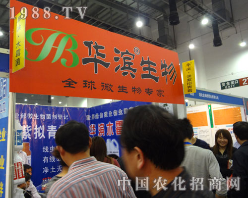 �A�I���΢�����