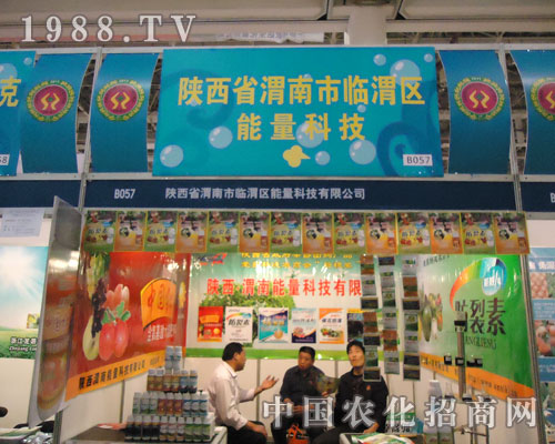 陜西省渭南市臨渭區(qū)能量科技產品招人愛