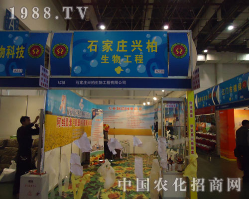 ʯ���f���d�����﹤���ڏB�T(m��n)ֲ��չ�ϴ�Ů���