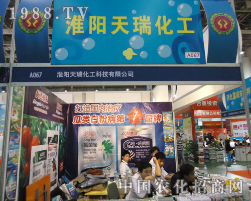 ���𻯹��c(di��n)ȼ2011ȫ��(gu��)ֲ����(hu��)