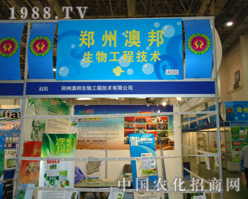 �B�T�r�Y���İ�������s����