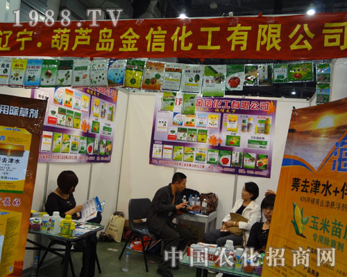 ���|�����J�u���Ż������Ї�ֲ���p����(hu��)չ�L(f��ng)��