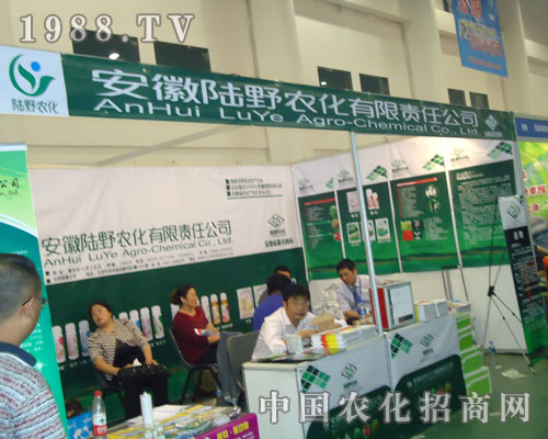 �����Ұ�r(n��ng)�������؄ڄ� ֻ�����