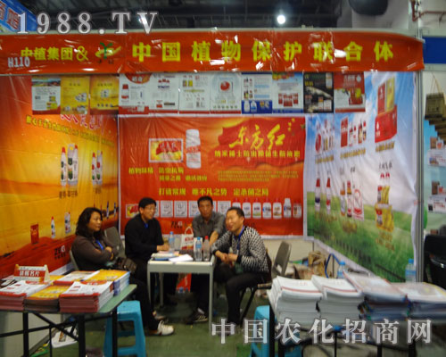 ��ֲ���F�����µ�27��ֲ����