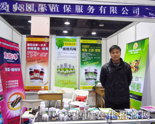 �ӱ�ʡ��24��ֲ����