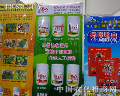 ������ ��������������¸���