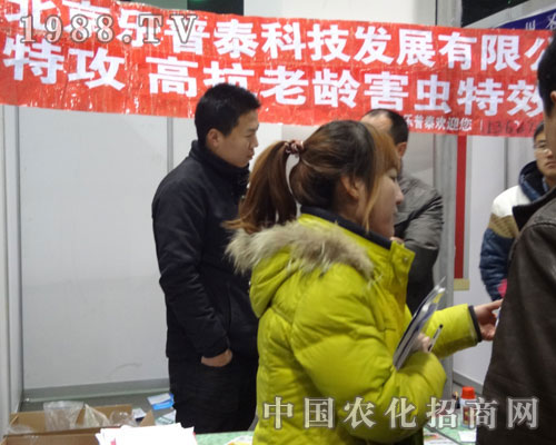 ������(l��)��̩�ӱ�ʡ��24��ֲ����(hu��)��������A