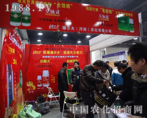 ������ ׌��(j��ng)�N��ٍ����e���p����