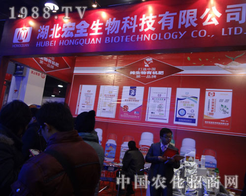 ��ȫ��˾����ӱ�ֲ����չ���F(xi��n)��������