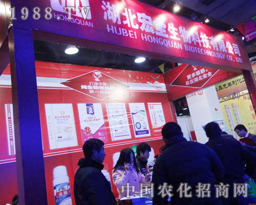 ��ȫ��˾����ӱ�ֲ����չ���F(xi��n)��������