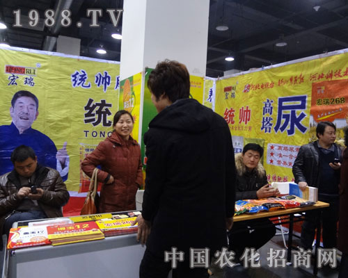 �ӱ�����˾�����I(y��)��ʯ���fֲ����(hu��)����������