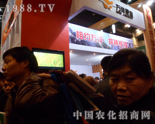 �f��ʘI(y��)�������ݷ��Ͻ��ו�