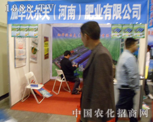 ���A�֠������ݷ��ϕ�(hu��)չ��(hu��)���̻�