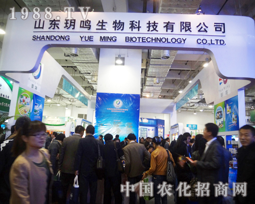 �h�Q�Ƽ��A������չ�_(t��i)����