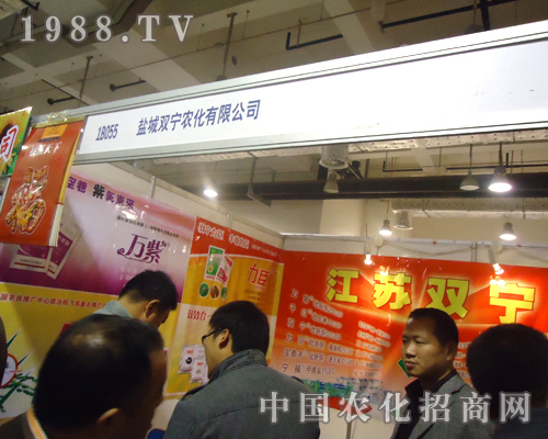 ���K�p�������̶������������v�w����