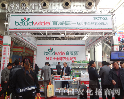 ��������չ����ȫ���Ը���������