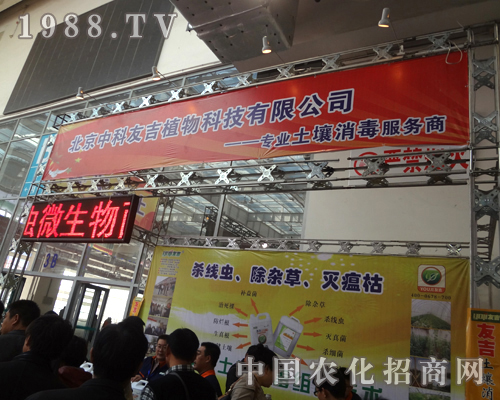 �п��Ѽ�ֲ��M�@�L��