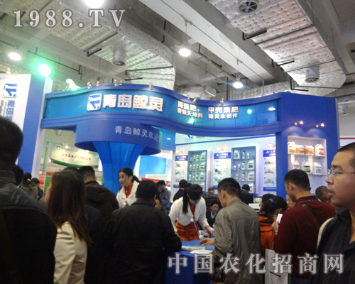     ���u�L�`���̈��殐������