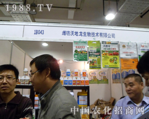 �ֵ�����(j��)���r(n��ng)ˎ�����̴����M(j��n)����