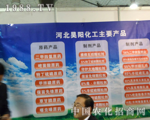 �ӱ���(y��ng)������˾����18��ɽ�|ֲ��������(hu��)�c��ͬ��