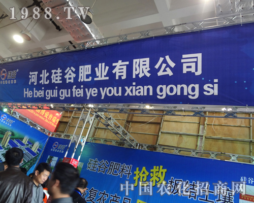 ��ȷʘI(y��)����������ʮ�ˌÝ���ֲ����չ�^