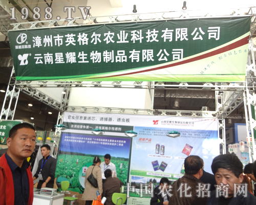 ��ҫ�����L(f��ng)�Ʌ��ӝ�(j��)��ֲ����