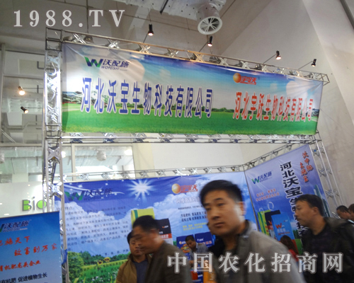 ���S�����A���ǈ���ʮ�ˌ�ɽ�|ֲ��������