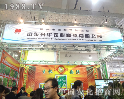 ���A�r���ذ���������ֲ��������