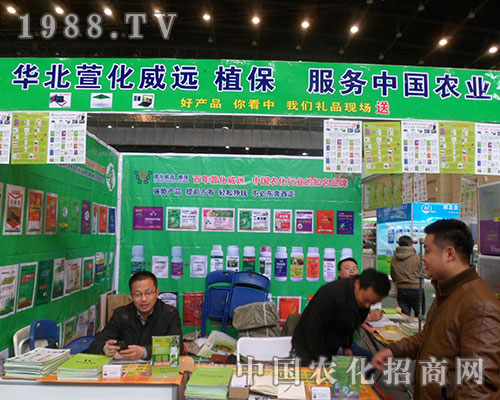 �滯���h(yu��n)�ٴ΁�(l��i)���˶�ʮ�ˌú���ֲ���p����(hu��)