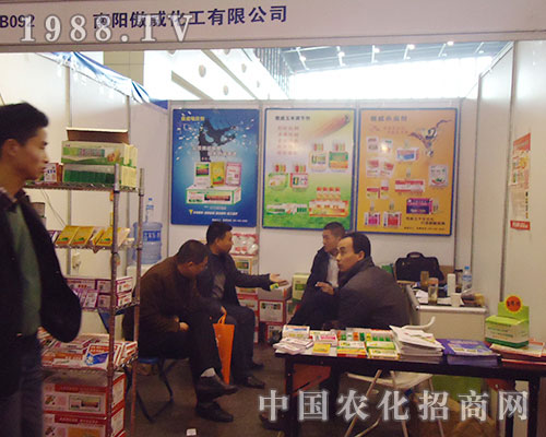 �����������r(sh��)ץסȫ��(gu��)ֲ�����ו�(hu��)�@��(g��)�C(j��)��(hu��)