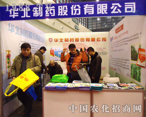 �A����ˎ���ӵ�28������ֲ��չ