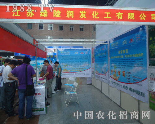 �G�ꝙ�l(f��)���������ݷ��ϕ����̲���