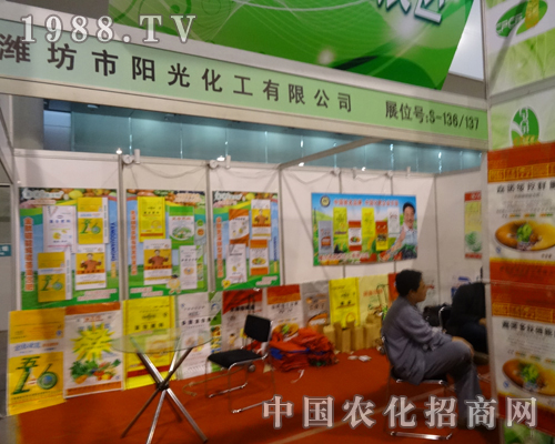 ꖹ⻯�����ŝM�M�ą���2013ȫ���׏�(f��)��չ�[��(hu��)