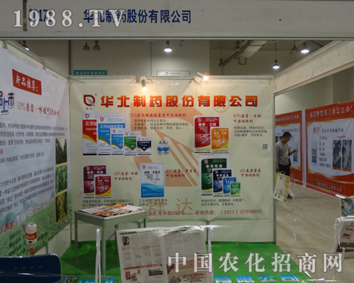 �A����ˎ2013ɽ�|��(j��)��ֲ����(hu��)���@�hâ