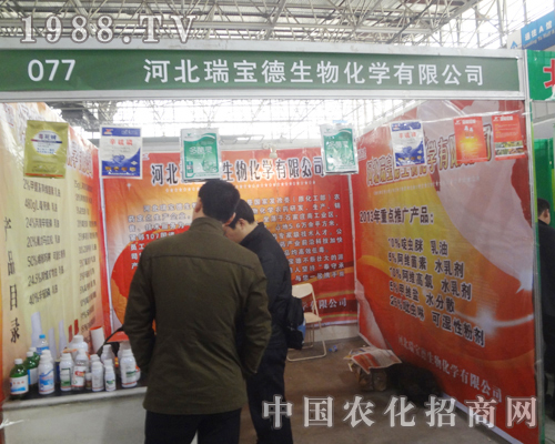 �ӱ���������A���F(xi��n)��2013�ȷ�ֲ��չ