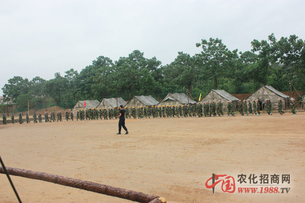 ����·��Ĳʺ�